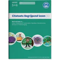 Junior Einstein BV Citotoets begrijpend lezen (Paperback)