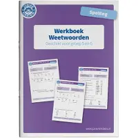 Junior Einstein BV Werkboek