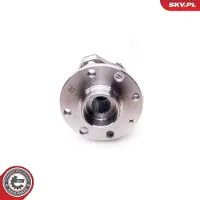 ESEN SKV 29SKV003 Wiellagerset