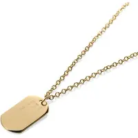 Lucleon Enkele Goudkleurige Dogtag-ketting