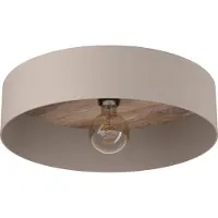 Eglo Plafondlamp Duaia Grijs