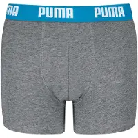 Puma Onderbroek blauw / navy / taupe / grasgroen / zwart
