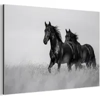 MuchoWow Aluminium schilderij 180x120 cm - Wanddecoratie metaal - Paarden - Gras - Zwart - Wit - Metalen muurdecoratie woonkamer - Decoratie industrieel - Foto op dibond - Industriële accessoires slaapkamer