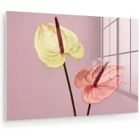 MuchoWow Glasschilderij 180x120 cm - Schilderij acrylglas - Bloemen - Anthuriums - Geel - Roze - Foto op glas - Muurdecoratie woonkamer - Wanddecoratie slaapkamer - Schilderijen