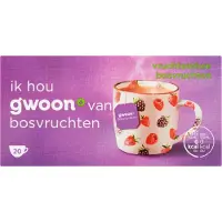 G'woon Vruchtenthee bosvruchten 12 pakjes x 40 gram