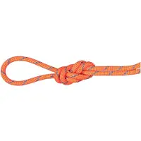 Mammut - 7.5 Alpine Sender Dry Rope - Halftouw 50 m, wit