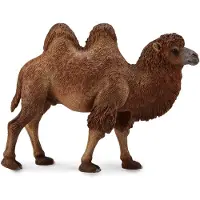 Collecta Figurine - Kameel - (L) - Wilde Dieren - Handgeschilderd - Miniatuur
