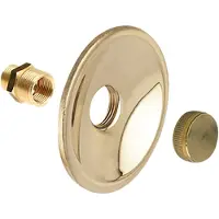 Bonfix Gevelplaat rond messing gepolijst compleet
