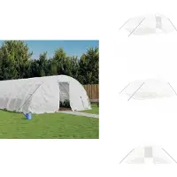 vidaXL Kas met stalen frame, wit, 30 m², 6x5x2,3 m - Kassen