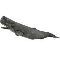 Collecta Figurine - Potvis - (Xl) - Zeedieren - Handgeschilderd - Miniatuur