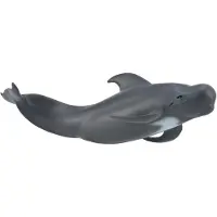 Collecta Zeedieren Pilootwalvis 19,2 X 5,4 cm