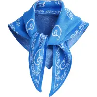 Next Doek blauw / wit