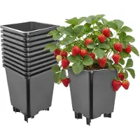 Garronda Set van 10 kunststof bloempotten met poten voor aardbeien en frambozen (Zwart, 21 x 21 x 26,5 cm – 7 L) GD-KW-F