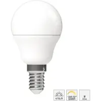Steinhauer E14 LED Globelamp | 5.5W 470lm | Dimbaar