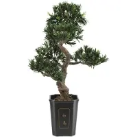 Europalms Bonsai Podocarpus, kunstplant, 80 cm (82600116)