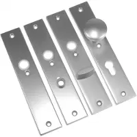 Ami Binnenschild 251/50 Blind F1