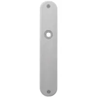 GPF bouwbeslag Gatdeel links/rechts plaatschild afgerond 220x40x2mm blind