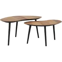 DTP Home Highlight Organus salontafel teakhout naturel - set van 2