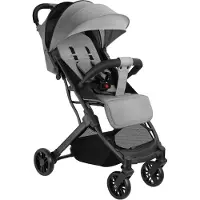 TecTake - Buggy kinderwagen Finn - Lichtgewicht plooibuggy - Inklapbaar en met opvouwbare kap - Draagkracht 15kg - Grijs