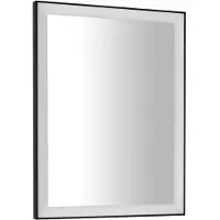 Sapho Gano spiegel met LED-licht 60x80cm, zwart