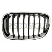 BLIC 6502-07-0086995P Radiator grill