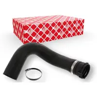 FEBI BILSTEIN 49144 Radiateurslang
