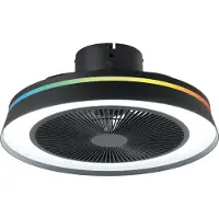 Eglo Vallonia Plafondventilator met lamp - Ø 48 cm - 3 snelheden - Instelbaar wit licht - RGB - Dimbaar - DC energy saving - Zwart