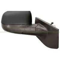 PRASCO Buitenspiegel DW3407113