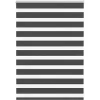 vidaXL Zebra rolgordijn 115x100 cm stofbreedte 110,9 cm zwart