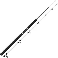 Kinetic Witcher Salt Cc Sea Trolling Rod Zilver 1.80 m / 300-600 g