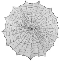 Party Deco Tafelkleed Rond Spinnenweb (124cm)