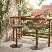 LVHOM 2-delige set barstoelen van riet met metalen voet, barstoelen voor de tuin, tuinmeubels, balkonmeubels, verstelbare tuinstoelen, 360° draaibaar, grijs