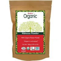 Radico NATURAL BIO ORGANIC HIBISCUS Haarmasker