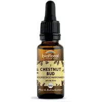 Biofloral Bachbloesems 07 Knop van de Paardenkastanje Bio 20 ml Druppels