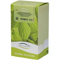 Fagron Pharmaflore Solidago (Guldenroede) Snijkruid 100 g Thee