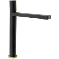 Sapho Kaisa Hoge wastafelmengkraan, 235 mm, zwart/goud mat