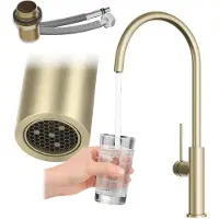 Granitan Prestige SLIM Keukenkraan - Geborsteld goud - Draaibare uitloop