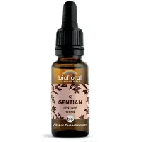 Biofloral Bachbloesems 12 Gentiaan Bio 20 ml Druppels