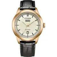 Citizen Heren Horloge Zwart AW0153-04AC
