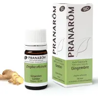 Pranarôm Essentiële Olie Gember Bio | 5 ml