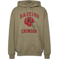 s.Oliver Sweatshirt groen