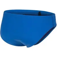 Arena Team Swim Solid Swimming Brief Blauw 90 Man