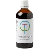 Therapeutenwinkel Cynara scolymus artisjok 100 ml