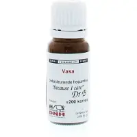 Dnh Vasa