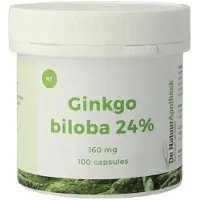 Natuurapotheek Ginkgo biloba 24% 160 mg