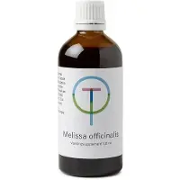 Therapeutenwinkel Melissa officinalis