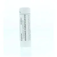 Homeoden Heel Ammonium muriaticum D12