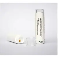 Homeoden Heel Lilium tigrinum D12 6 gram granules