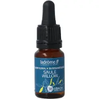 La Drome Willow bio