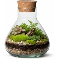 Atmosphera Vaas Terrarium - rond - met kurk - glas - Dia 22.5 x Hoogte 24 cm - transparant - gerecycled glas - met kurk deksel